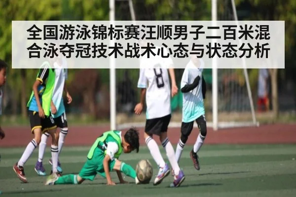 全国游泳锦标赛汪顺男子二百米混合泳夺冠技术战术心态与状态分析（kaiyun）